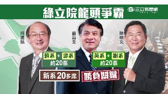 陳菊協調未果！綠營國會龍頭將假投票