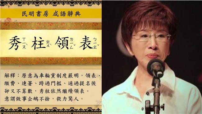 國民黨限定成語：「秀柱領表」問世！