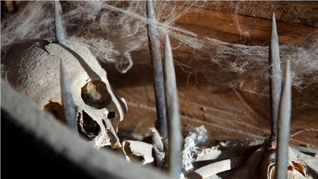 大姐頭逼吐錢　7大酷刑凌虐小弟致死