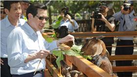 馬英九赴太平島（圖／總統府提供）