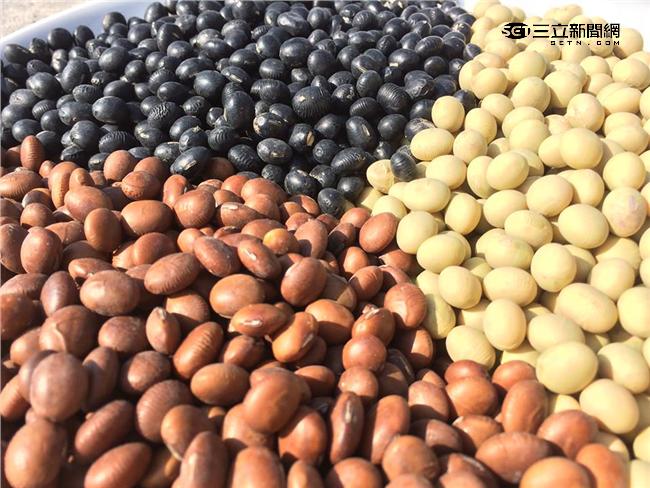 毛豆是黃豆？毛豆、黄豆傻傻分不清楚
