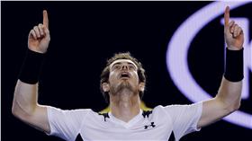 Andy Murray（圖／美聯社／達志影像）