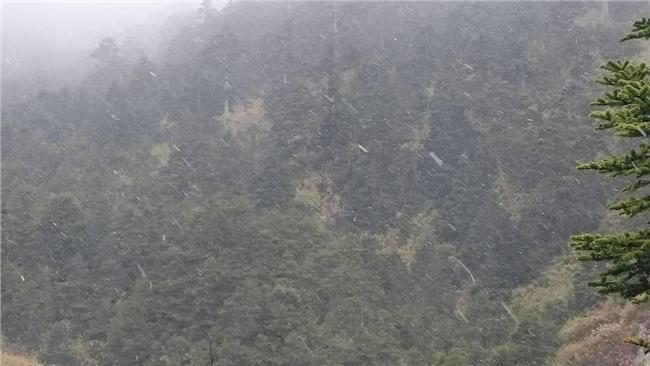 合歡山中午起斷續降雪！遊客驚呼連連