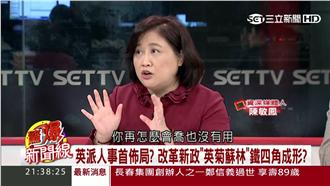 總統兼黨主席？名嘴建議蔡英文這樣做