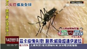 w小頭症蔓延1600