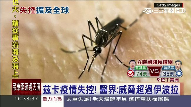 茲卡疫情失控！醫界：威脅恐超伊波拉