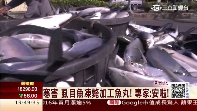 凍傷虱目魚可加工成魚丸？專家這樣說