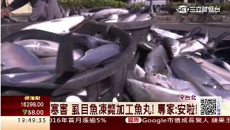 凍傷虱目魚可加工成魚丸？專家這樣說