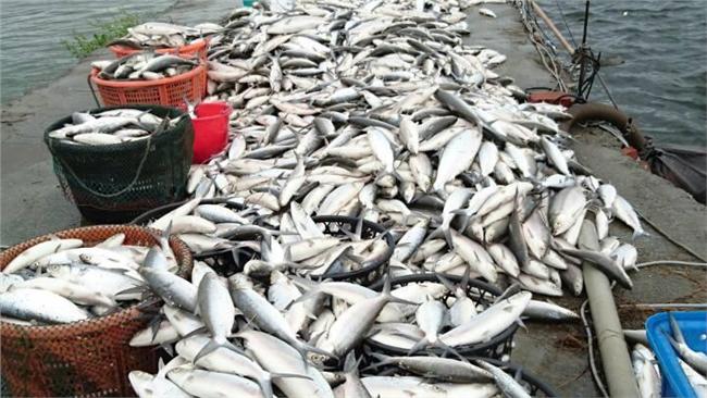 「生病不能再感冒」漁民憂寒流再襲台