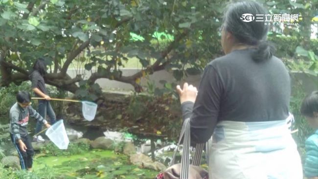 最壞身教！師帶小孩到「生態池」撈魚