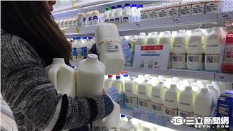 名家/這個倒楣的林鳳營