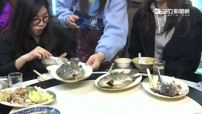 吃豬糞長大？吃牠致癌？吳郭魚真相…