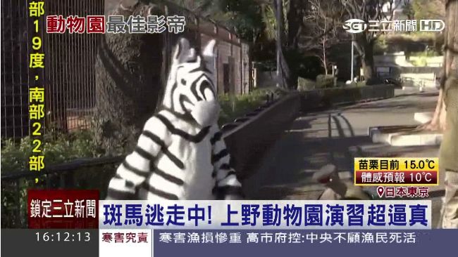 影／斑馬逃了！動物園演習奪最佳影帝
