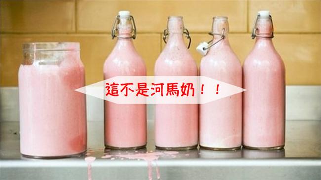 猜猜看！河馬奶是粉紅色還是白色？