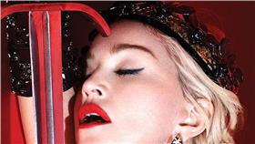 ▲瑪丹娜演唱會。（圖／翻攝自Madonna臉書）