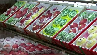 寒害傷水果漲2成　一顆蜜棗最貴一百