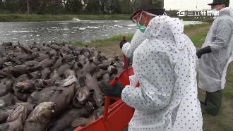 放寬寒害補助？中央要地方政府先認定