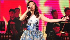 2016超級巨星紅白藝能大賞／台視提供