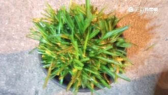 忌妒同行生意好　婦人竟然這樣做