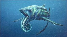 知乎/史前生物（H）