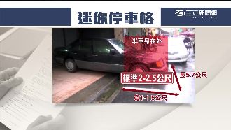 改善交通畫停車格　尺寸竟只有1米寬