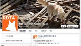 ▲圖/翻攝自日本救難犬訓練協會
https://www.facebook.com/rescuedogrdta/?fref=nf