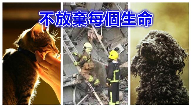 不在乎被咬！消防員忍痛搶救毛孩子