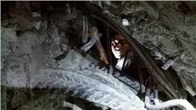 生還者,地震／台灣國際緊急救難總隊提供