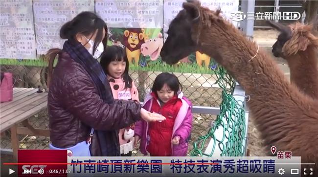 春節觀光潮　竹南崎頂新樂園活動吸睛