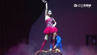 狗明星秀才藝！竹南崎頂新樂園活動多