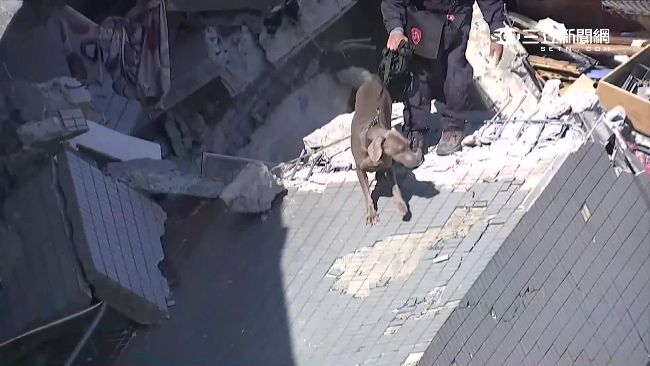 搜救犬再建功　嗅出受困蔡姓姊妹位置