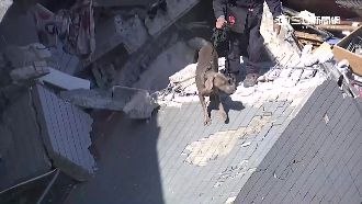 搜救犬再建功　嗅出受困蔡姓姊妹位置