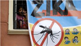 茲卡病毒_路透社