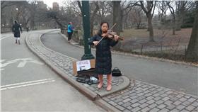 台南地震,維冠金龍,救援,倒塌,募款,中提琴,音樂會,鄭伃珺,賴清德(臉書 https://www.facebook.com/364511163703203/photos/pcb.588525984635052/588525884635062/?type=3&theater)