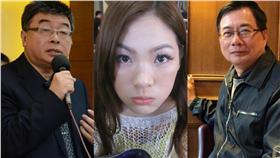 邱毅,陳沂,蔡正元▲合成圖／翻攝自臉書