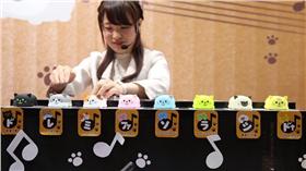 音樂,創意樂器,貓,毛小孩,鋼琴,彈奏,結婚進行曲