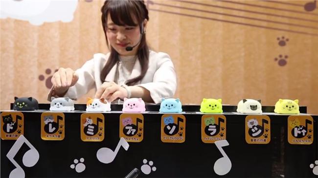 影／結婚配樂用它！「喵喵琴」超療癒