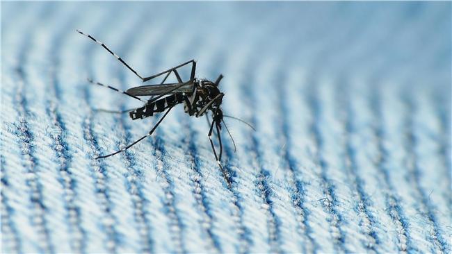 茲卡疫情擴散　世衛：神經失調病例增