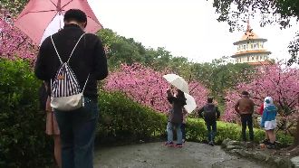 賈新興吟詩 曝除夕後下雨機率大增