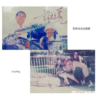 與情人共進晚餐　姚淳耀被嫌沒誠意？