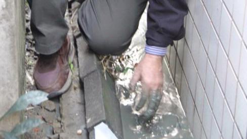 陳亭妃「手指戳土說」獲土木技師力挺