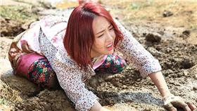 大明星小媳婦＿緯來