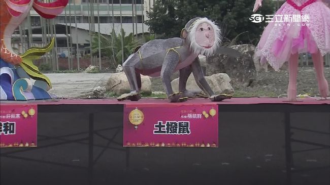 救援福祿猴！土撥鼠花燈其實是...