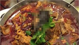 老鼠,紅燒牛肉／翻攝自騰訊新聞