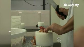 孝女打工陷昏迷　疑遭龍蝦割傷感染