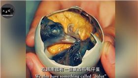 鴨仔蛋／擷自YouTube