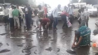 奇觀！天降千尾「活魚」　專家這樣說