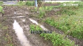 為洲挖民地g1800