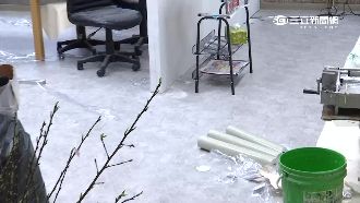 立委卸任扒走地毯　新房客得花錢重做