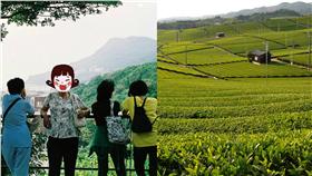 觀光,茶園,陸客▲合成圖／攝影者Lordcolus, flickr CC License
https://www.flickr.com/photos/kanegen/3556881442/、
攝影者kanegen, flickr CC License
https://www.flickr.com/photos/kanegen/3556881442/
